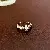 Zirconia Geometric Oval Open Ring Niche High-end Exquisite Temperamentable Versatile - 4# Ring-Zircon Oval Open Ring