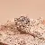 Cold, Personalized Temperament, Zircon, Snake-shaped Flower, Hollow Open Ring, Niche - 11# Ring-Zircon Multi-Layer Fashion Open Ring