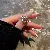 Medieval Vintage Retro Ring Light Luxury Index Finger Open Versatile - 1#真金电镀开口戒指-金色