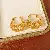 18k Real Gold Electroplating Hollow U-shaped Cross Earrings Exquisite Temperament - Earrings - gold (real gold plating)