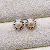 Wholesale Gold Plated Pearl Zircon Earrings for Women - 1398B Pink