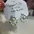 Wholesale Gold Plated Pearl Zircon Earrings for Women - 1407B white