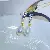 Natural Freshwater Pearl Earrings for Women - Retro Style - 4040 golden white beads