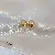 Silver Needle Earrings Wholesale | Quality & Versatility Supply - 43# Silver Needle-Golden Beans.