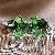Wholesale Green Earrings with Zircon Flower - Light Luxury Supply - 71# Silver Needle-Green-Square