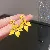 Wholesale Yellow Freshwater Pearl Butterfly Earrings for Retail - Silver needle flower earrings