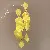 Wholesale Yellow Freshwater Pearl Butterfly Earrings for Retail - Silver Needle Acrylic Petal Tassel Stud Earrings