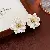 Freshwater Pearl Wholesale Earrings with Premium Quality - 5# silver needle-white-gold (environmentally friendly)