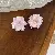 Freshwater Pearl Wholesale Earrings with Premium Quality - 18# silver needle-pink