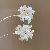 Freshwater Pearl Wholesale Earrings with Premium Quality - 27# silver needle-white