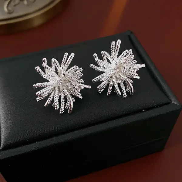 11# Silver Needle Zircon Fireworks Earrings,tkmbeautysupply.com