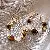 Tiger Eye Stone Silver Needle Earrings Wholesale Quality Assured - 12# Silver Needle Tiger Eye Cat's Eye Earrings (Real Gold Plating)