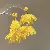 Wholesale Resort Handmade Chiffon Flower Pearl Tassel Earrings for Retailers - 22# steel needle-yellow
