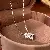 Silver Needle Zircon Flower Necklace Wholesale Supply - Necklace - silver.