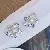 Wholesale Gold Plated Pearl Zircon Earrings for Women - 4072B Begonia Pollen Beads