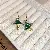 Green Earrings Wholesale | High-Quality Silver Needles Supply - Silver Needle Oil Mushroom Stud Earrings