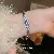 Wholesale Geometric Square Flower Bracelet Set with Zircon - 21# Bracelet-Zircon round flower buckle bracelet