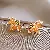 Wholesale Real Gold Electroplated Zircon Jewelry Supply - 5# silver needle glass diamond pony earrings