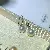 Wholesale Gold Plated Pearl Zircon Earrings for Women - 1355B white