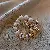 Wholesale Pearl Flower Brooches for Retailers Seeking Quality - 7# Brooch-Golden Butterfly Pearl